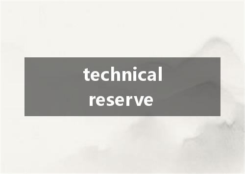 technical reserve是什么意思
