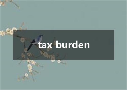 tax burden是什么意思