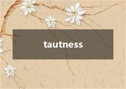 tautness是什么意思