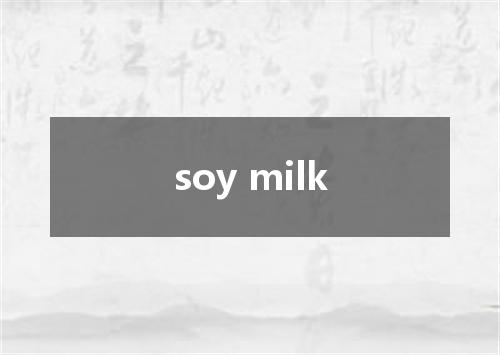 soy milk是什么意思
