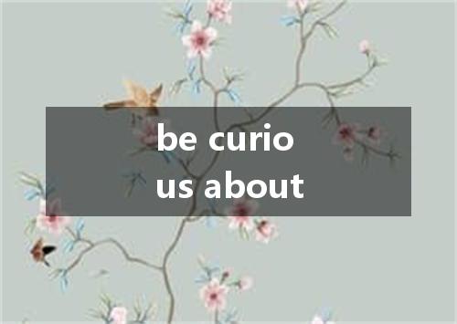 be curious about是什么意思