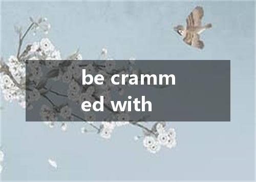 be crammed with是什么意思
