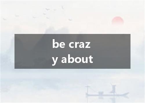 be crazy about是什么意思