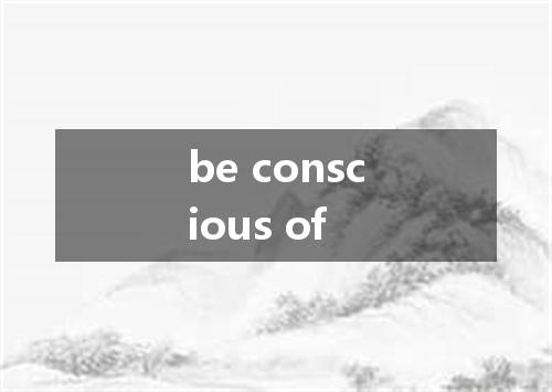 be conscious of是什么意思