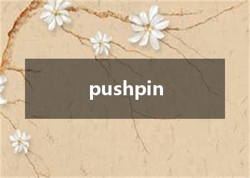 pushpin是什么意思