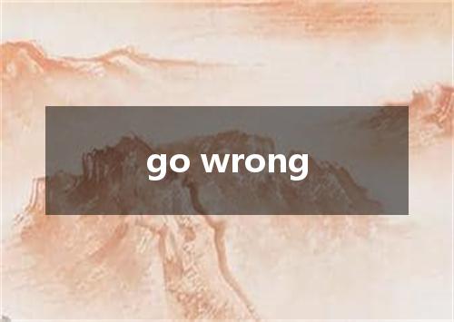 go wrong是什么意思