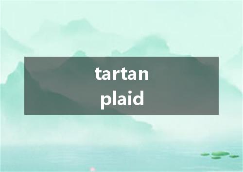 tartan plaid是什么意思