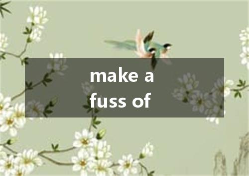 make a fuss of是什么意思