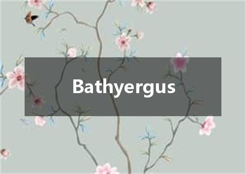 Bathyergus是什么意思
