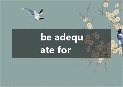 be adequate for是什么意思