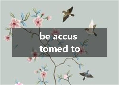 be accustomed to是什么意思