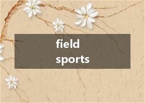 field sports是什么意思