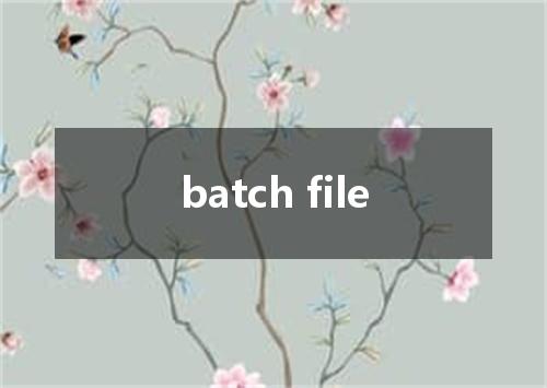 batch file是什么意思
