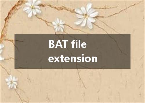 BAT file extension是什么意思
