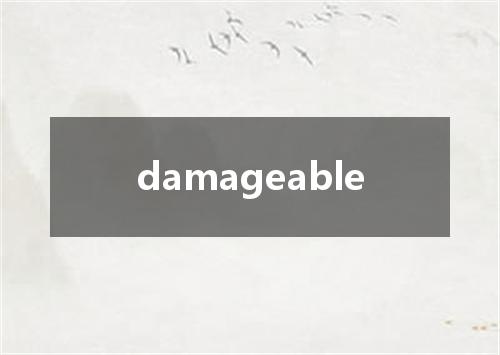 damageable是什么意思