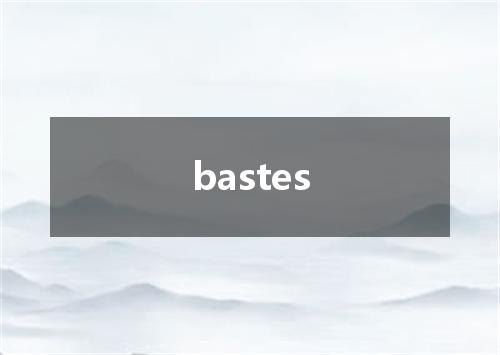 bastes是什么意思