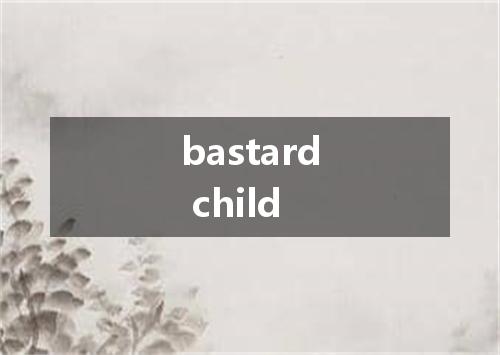 bastard child是什么意思