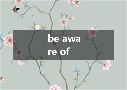 be aware of是什么意思