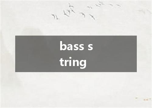 bass string是什么意思