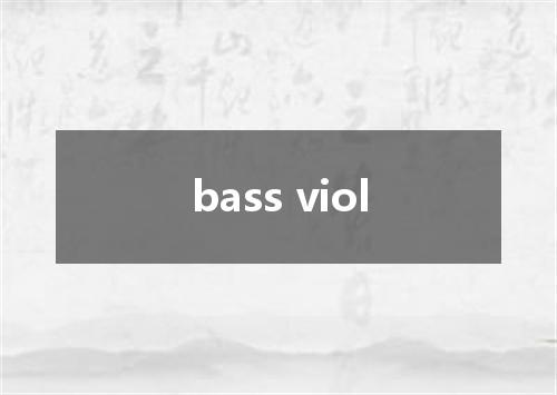 bass viol是什么意思