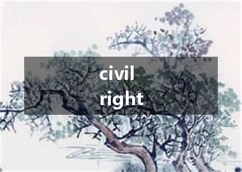 civil right是什么意思