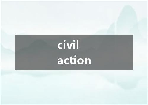 civil action是什么意思
