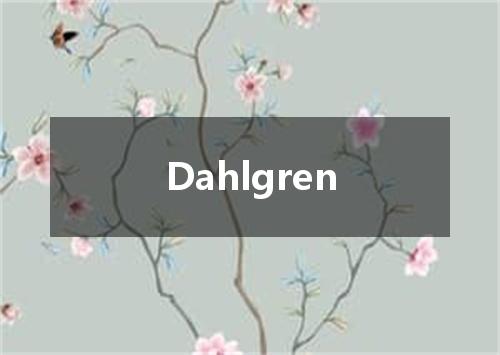Dahlgren是什么意思