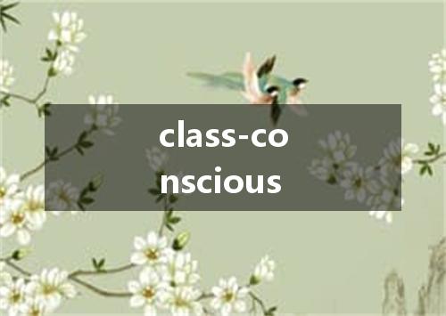 class-conscious是什么意思