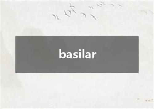 basilar是什么意思