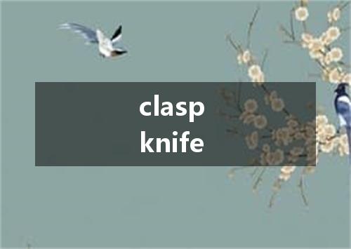 clasp knife是什么意思
