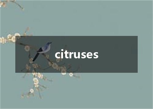 citruses是什么意思