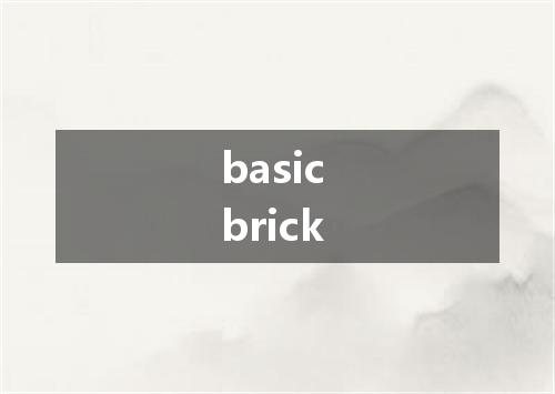 basic brick是什么意思