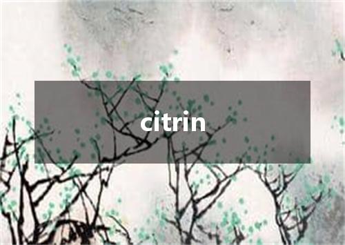 citrin是什么意思