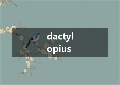 dactylopius是什么意思