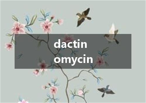 dactinomycin是什么意思