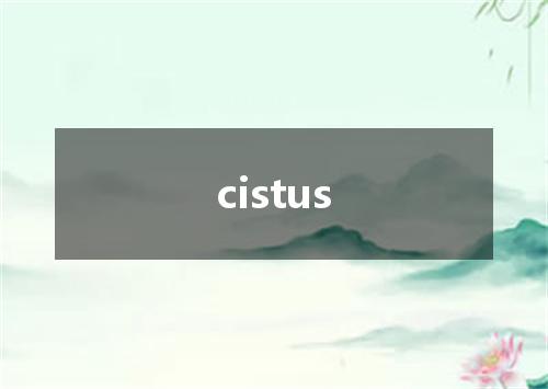 cistus是什么意思