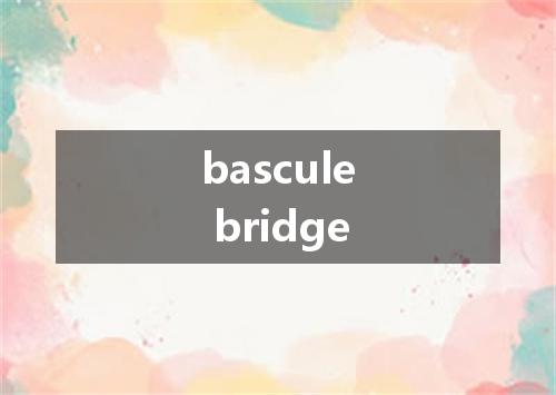 bascule bridge是什么意思