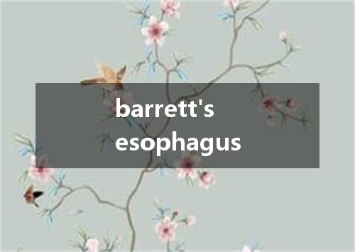 barrett's esophagus是什么意思