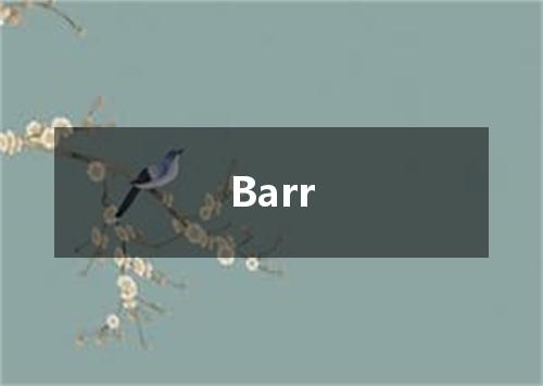 Barr是什么意思