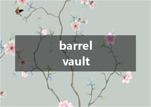 barrel vault是什么意思