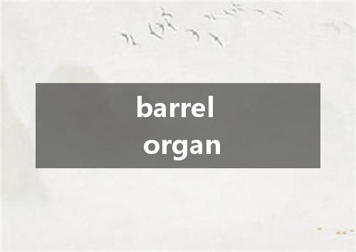 barrel organ是什么意思