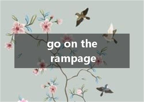 go on the rampage是什么意思
