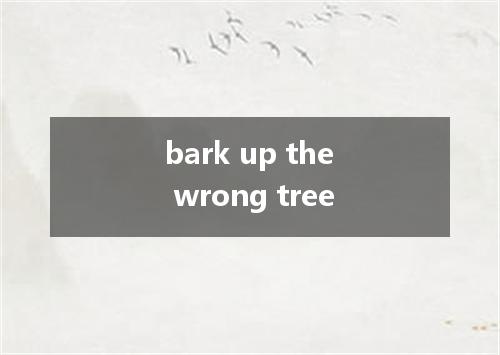 bark up the wrong tree是什么意思