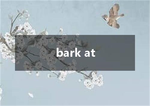 bark at是什么意思