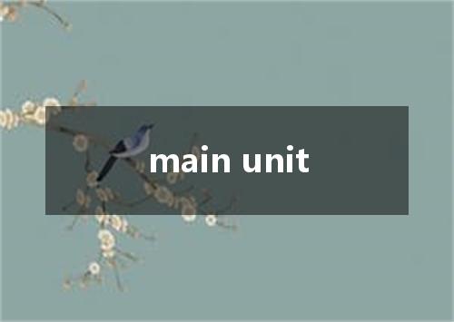 main unit是什么意思