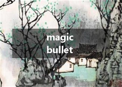 magic bullet是什么意思