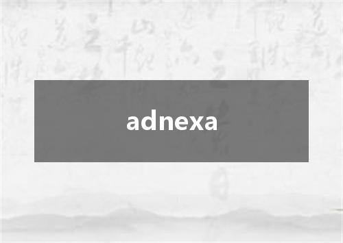 adnexa是什么意思