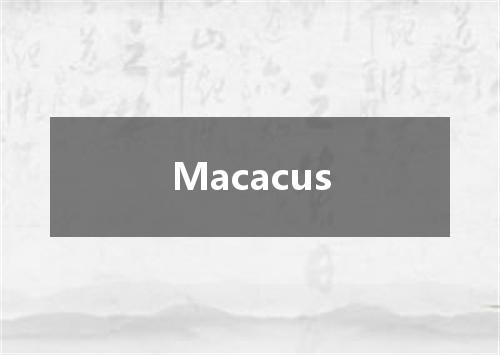 Macacus是什么意思
