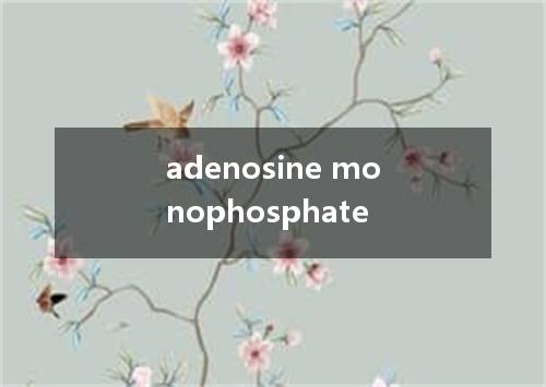 adenosine monophosphate是什么意思