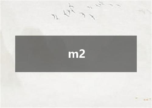 m2是什么意思